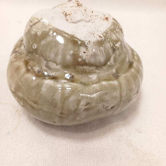 Realistic Ceramic GOURD ugly Pumpkin Art Glaze Kitsch Decor Thanksgiving Kitchen - Picture 5 of 14